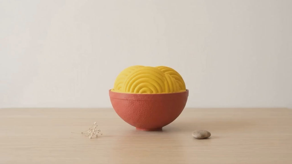 3D Ramen Noodle Bowl with Lid
